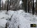 Endmoränen-Landschaft des Niederlausitzer Grenzwalls am Königsberg bei Gehren, Niederlausitz-Spreewald, Brandenburg, (D) (16) 24.01.2015.JPG